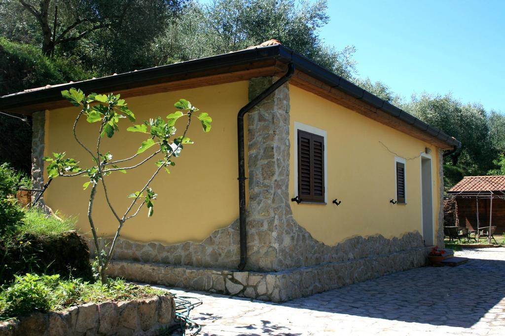 Agriturismo San Leonardo Villa Centola Room photo