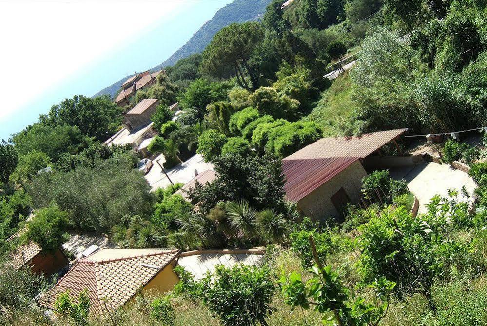 Agriturismo San Leonardo Villa Centola Exterior photo